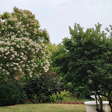 Ferienwohnung Westerwaldblick Grosszuegige Wohlfuehloase Mit Terrasse Oberelbert Zewnętrze zdjęcie