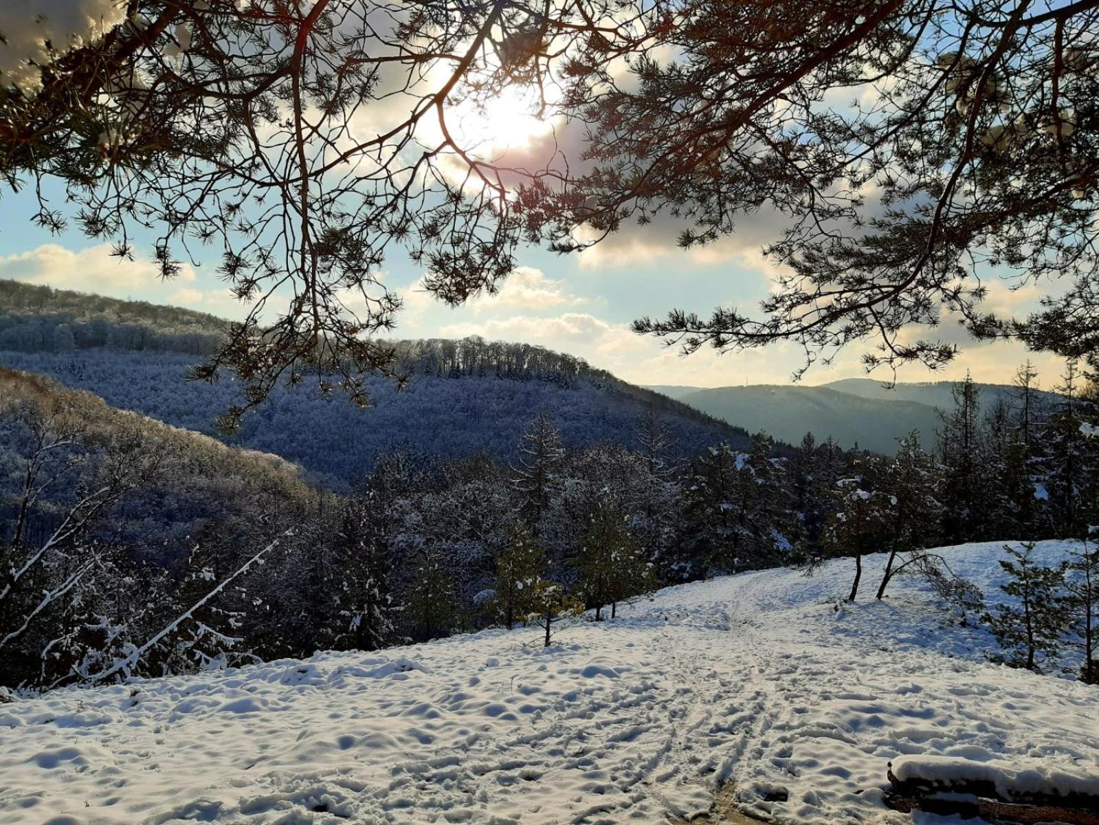 Westerwaldblick Grosszuegige Wohlfuehloase Mit Terrasse Oberelbert